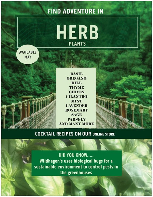 Wildhagen-Greenhouses-Herbs-2020